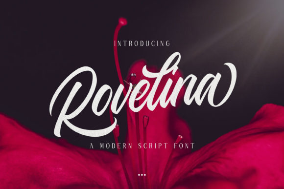 Discover Rovelina: The Handwritten Font with Modern Elegance